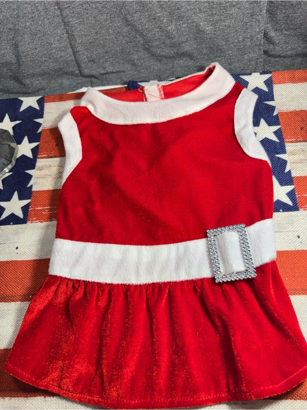 Red Holiday Velvet Dog Dress with White Trim